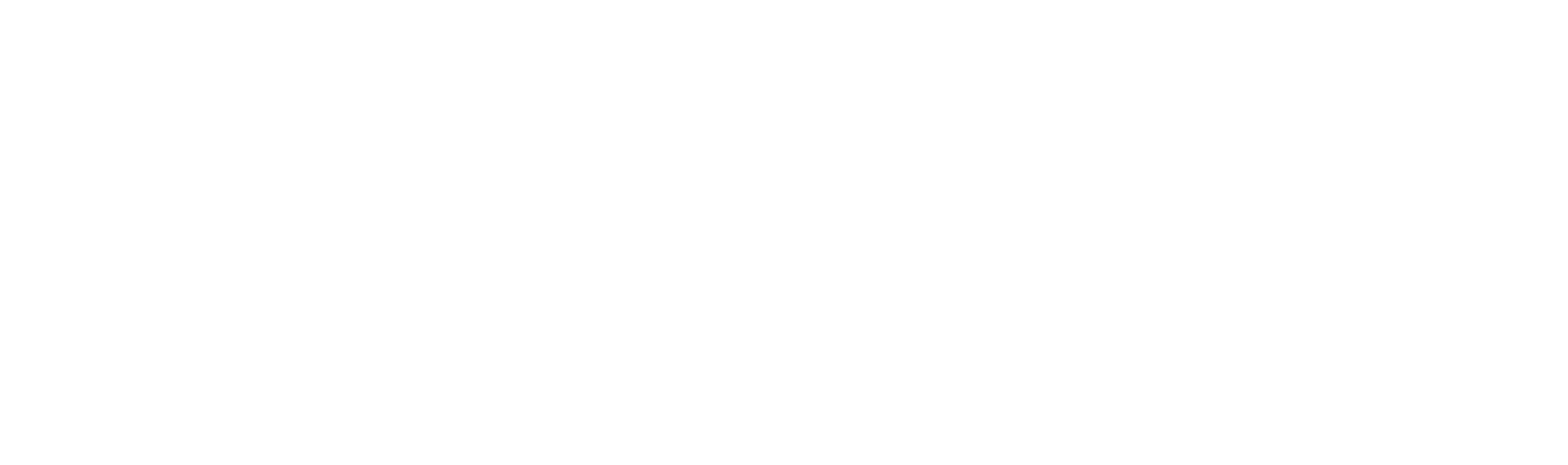 ザ フェイク