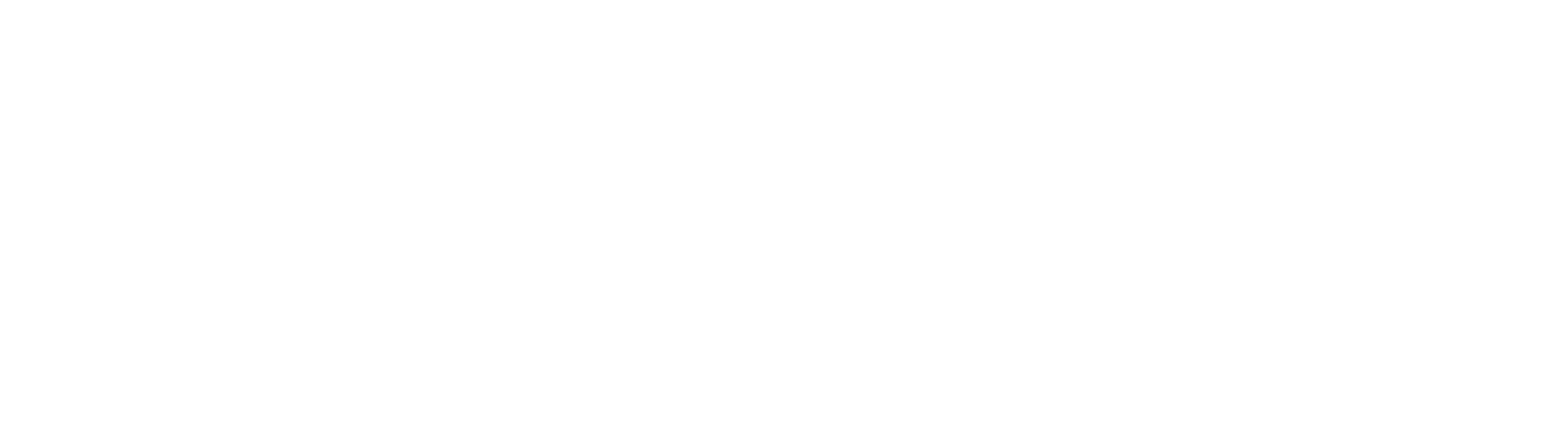 ザ フェイク